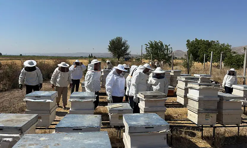 Kayseri'de altın hasadı! Başkan da katıldı