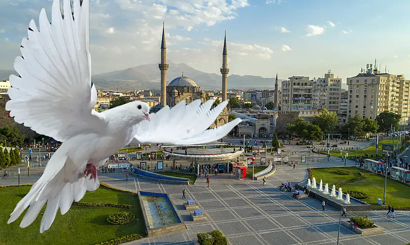 Kayseri'de bakın kimler yüzde 100 hibeyle desteklenecek! Talih kuşu kondu