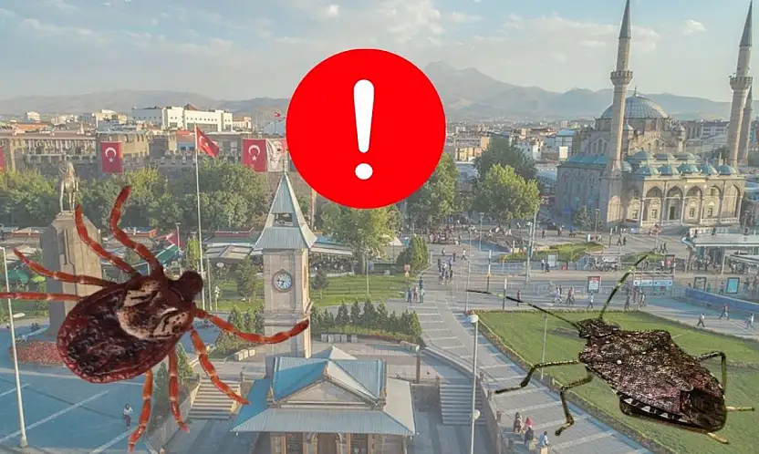 Kayseri'de kene harekatı başlıyor!