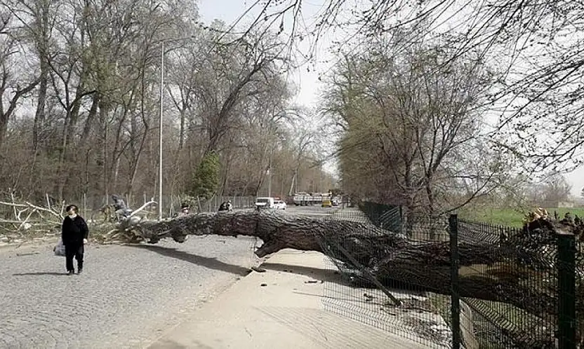 Kayseri'de kuvvetli rüzgâr ve fırtına alarmı