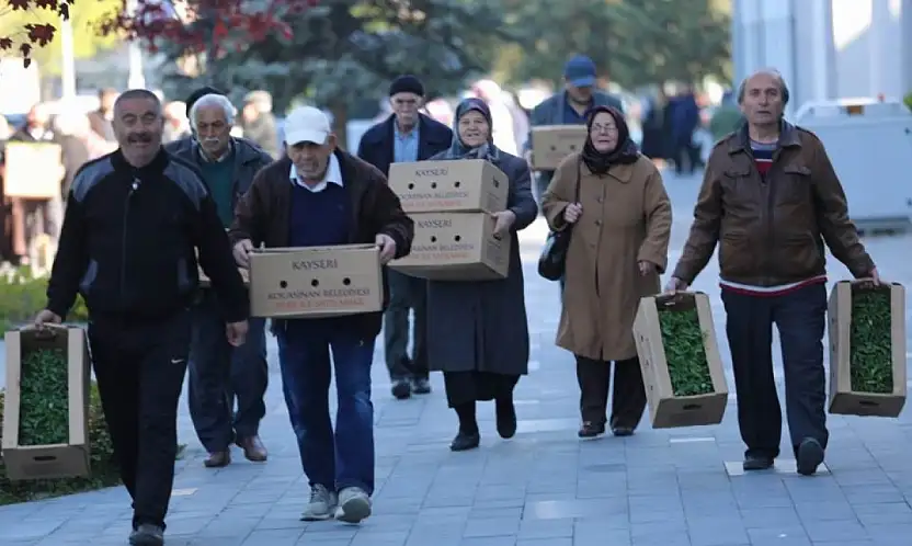 Kayseri'de yarın ücretsiz domates fidesi dağıtılacak! 4 farklı yer belirlendi