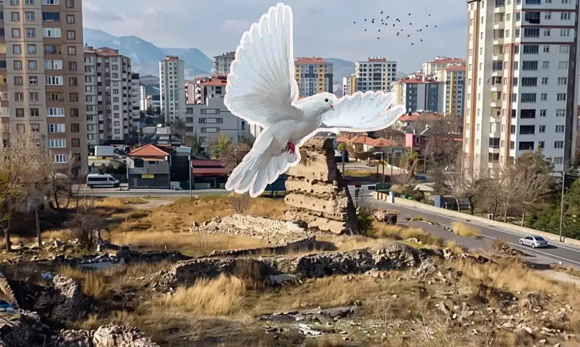 Kayseri'deki Basiliada merak konusu oldu! Mahalleye talih kuşu mu kondu?