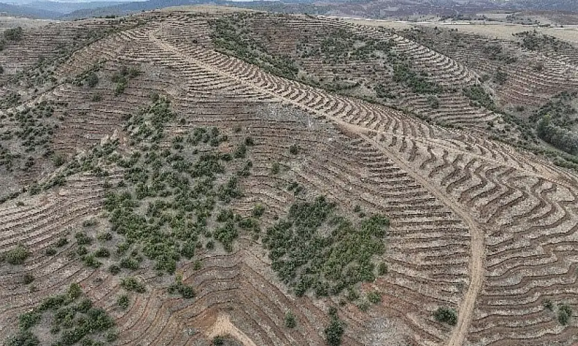Kayseri'deki müdürlük açıkladı! Milyonluk hibe desteği