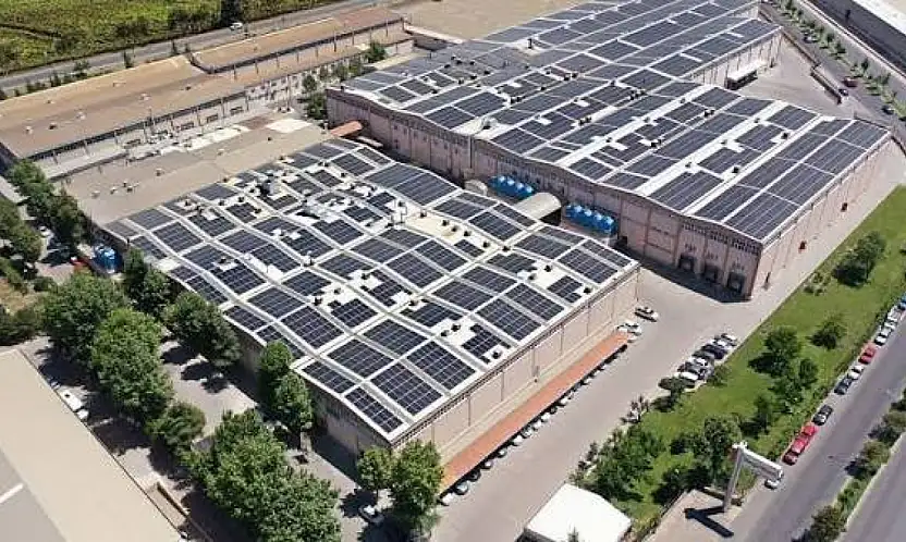 Kayseri'nin en büyük 3. şirketi ABD'ye fabrika kurdu! 24 bin ton hedefleniyor
