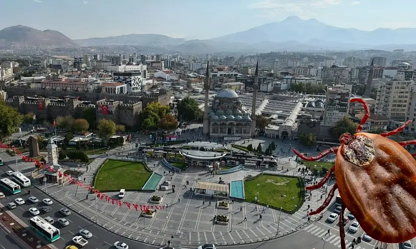 Kayseri ve çevresinde kene alarmı! En riskli alanlar belli oldu