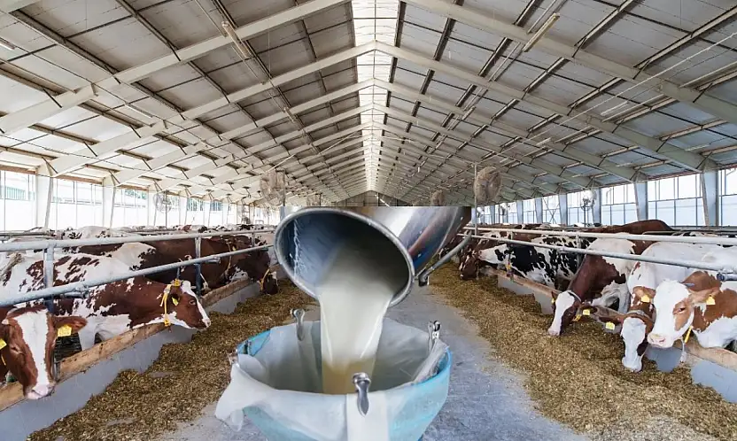 Kayseri'ye 270 milyon müjdesi