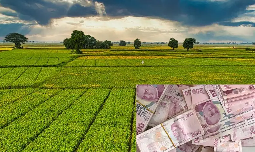 Kayserili çiftçiye nefes aldıracak destek açıklandı