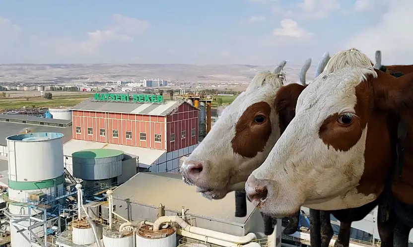 Kayserili şirketten yatırım iptali! O proje planlardan çıkarıldı