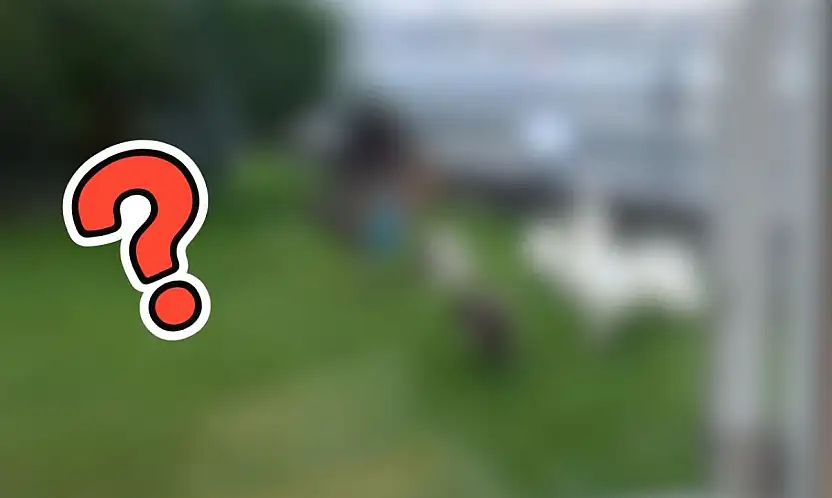 Kayserili ünlü iş insanı boğazdaki yalısında bakın ne besliyor?