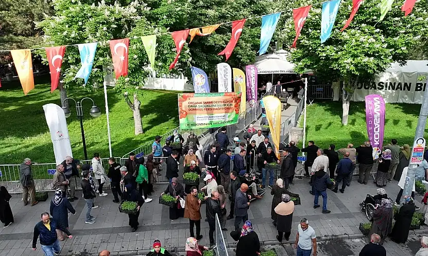 Kocasinan'dan müjde: Ücretsiz domates fidesi dağıtım tarihi netleşti