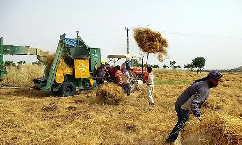 Üreten eller güçleniyor: Çiftçiye 1,14 milyar TL'lik destek ödemesi