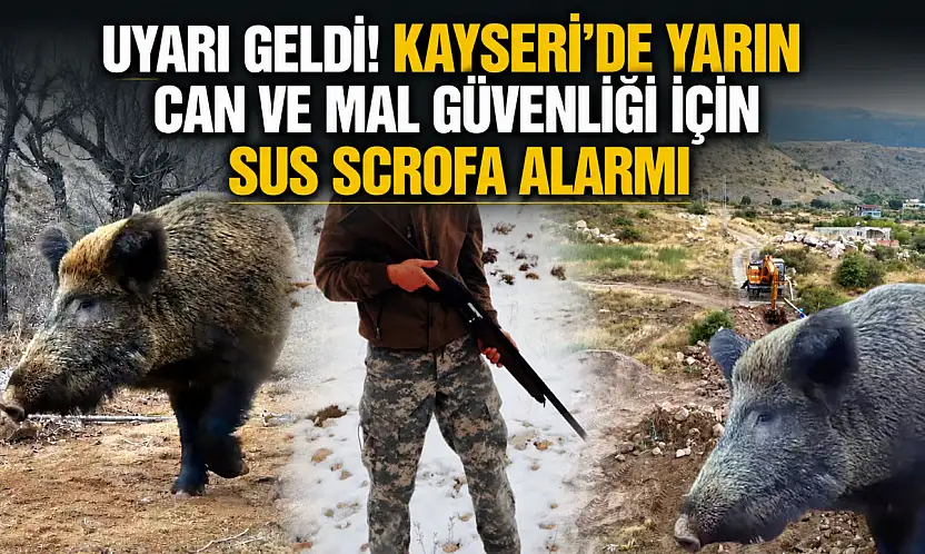 Uyarı geldi! Kayseri'de yarın can ve mal güvenliği için Sus Scrofa alarmı