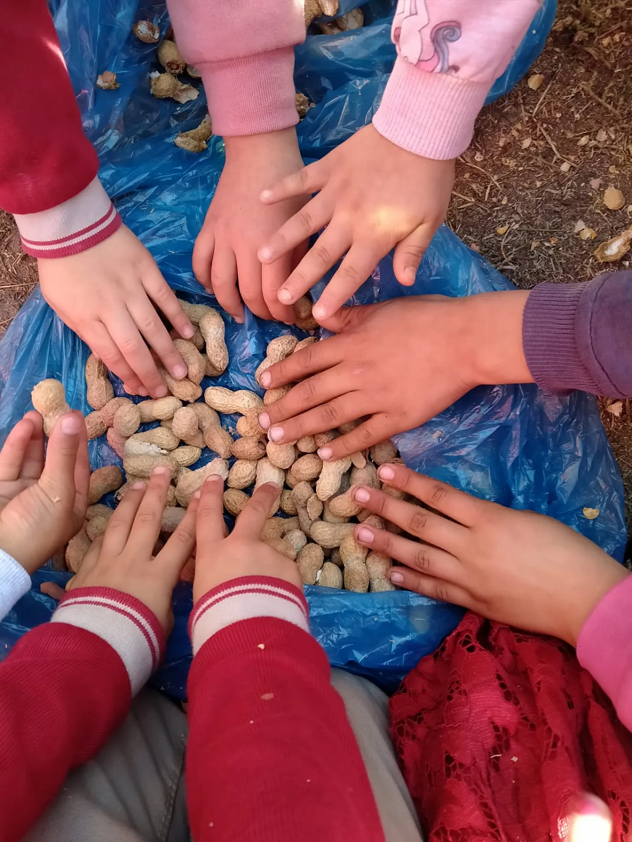 Harfleri nesnelerle öğretiyor
