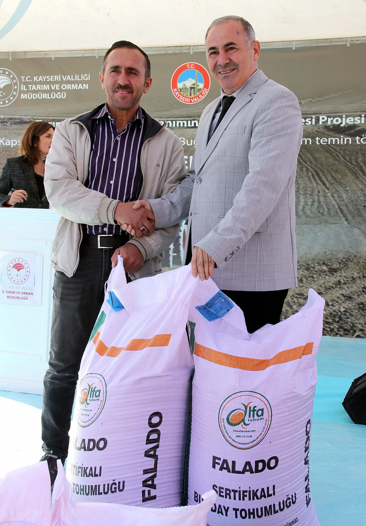 Yarısı hibe tohum dağıttılar