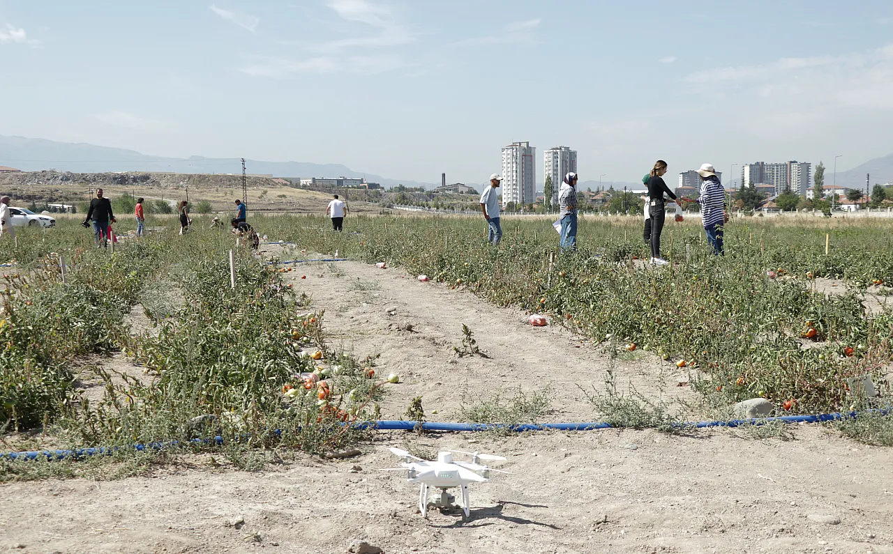 Kayseri'de 'zeki domates' dönemi başlıyor