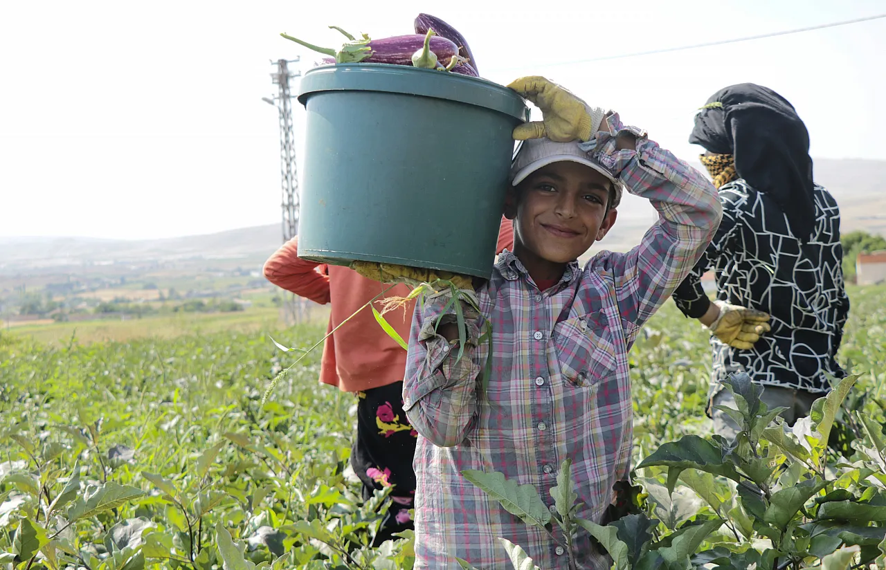 Tescilli 'Pijamalı patlıcan' 50 çeşit şekilde değerlendiriliyor