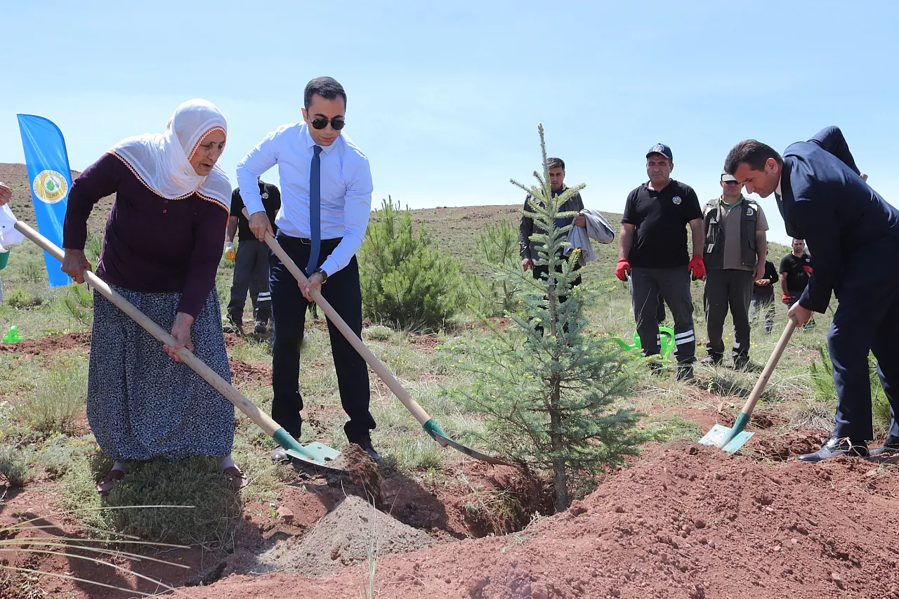 Ağaçlandırılan bölgeye şehit Jandarma Er Turgut Şimşek'in adı verildi...