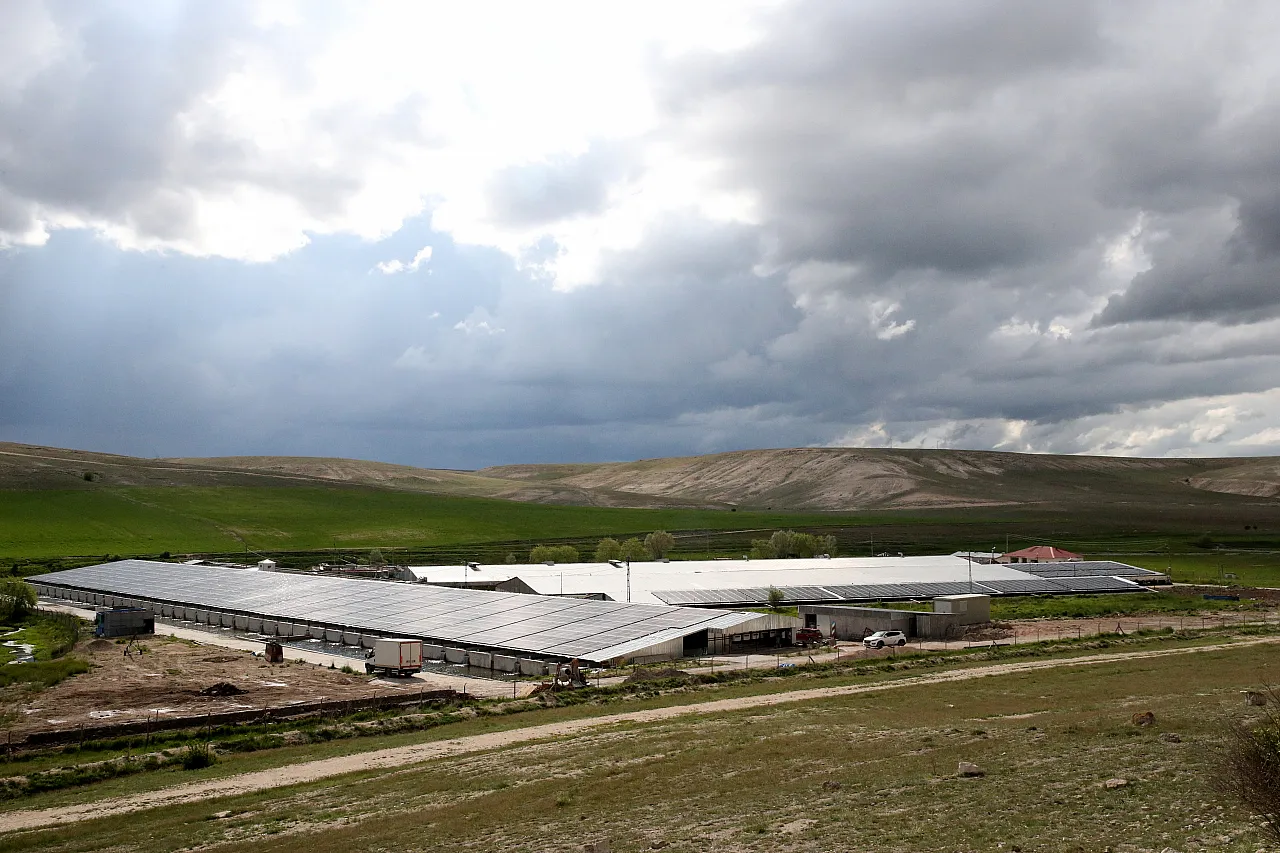 Pınarbaşı'na balık piyangosu...