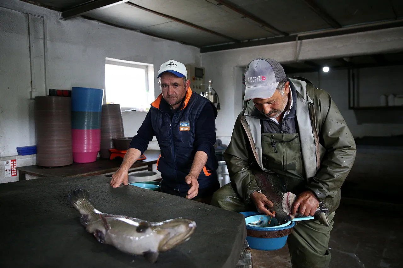 Pınarbaşı'na balık piyangosu...