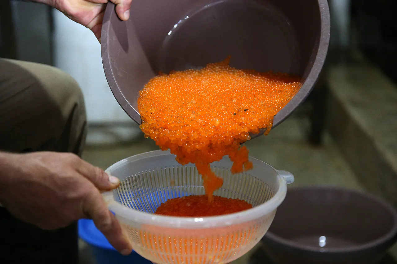 Pınarbaşı'na balık piyangosu...