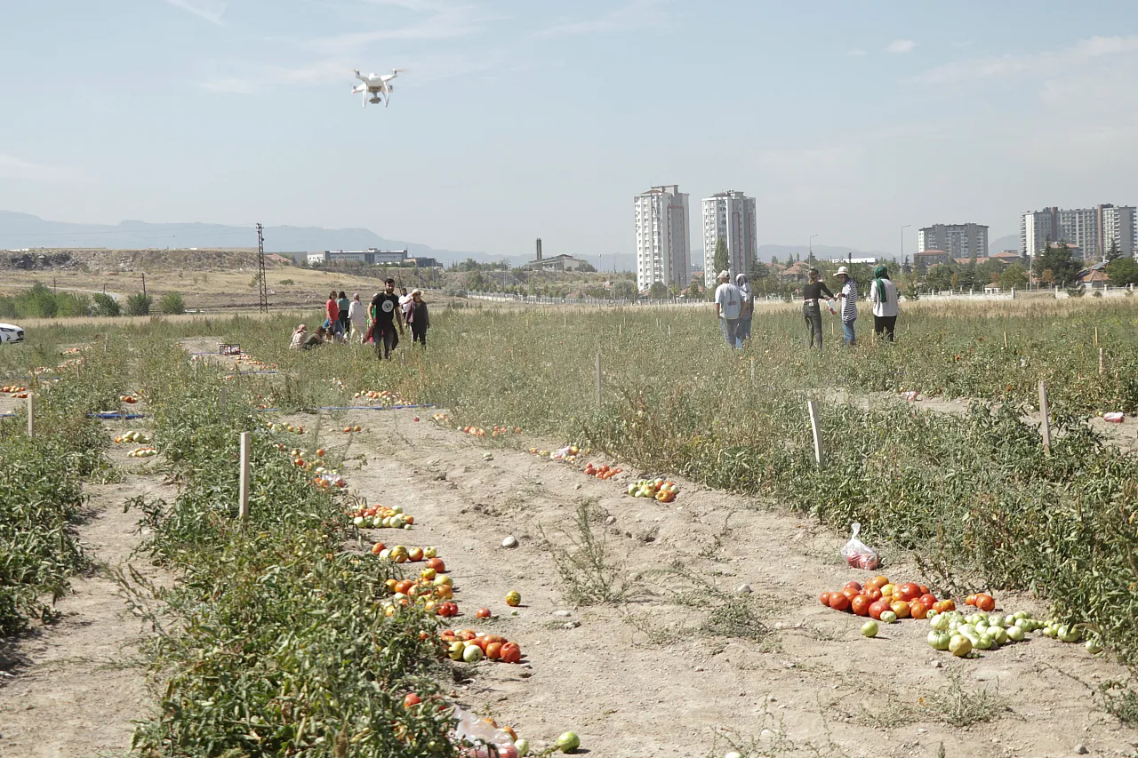 Kayseri'de 'zeki domates' dönemi başlıyor