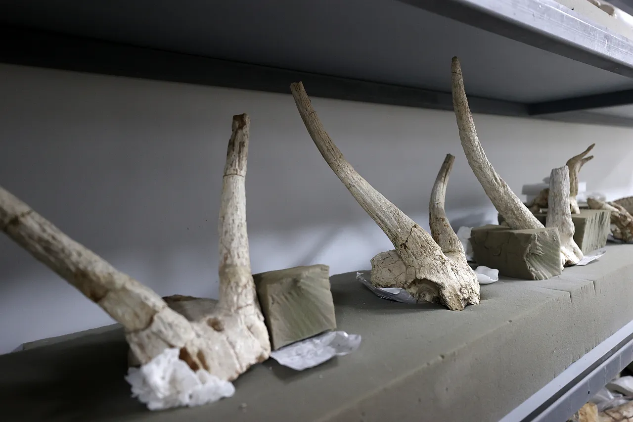 Kayseri'de medeniyetlerin izleri sürülüyor...