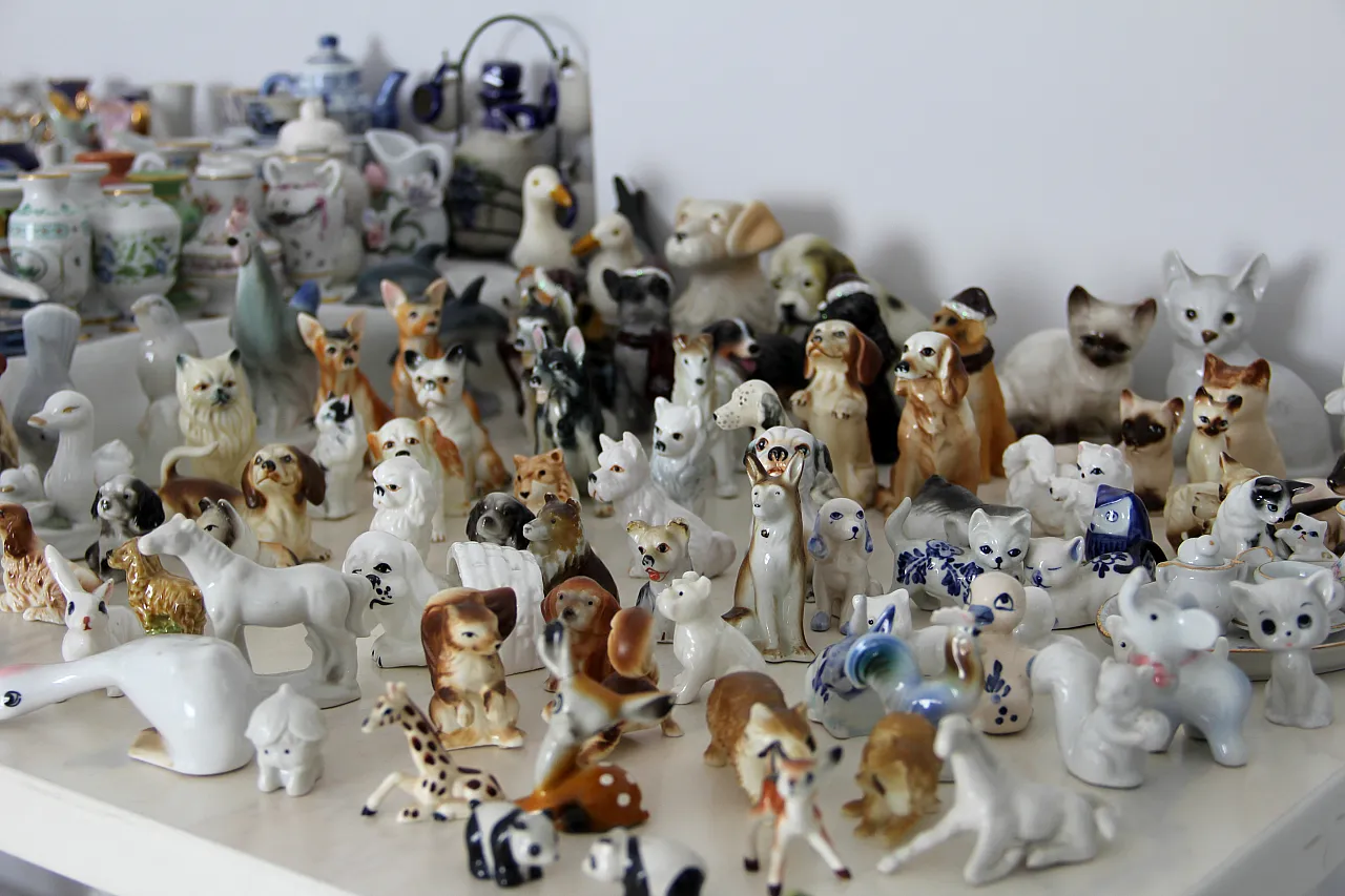 Ülke ülke bakın ne için gezdi?