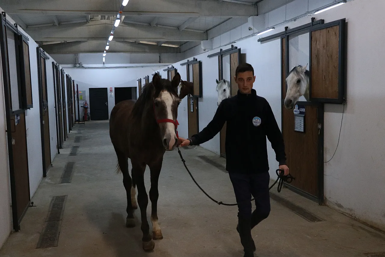 İşte Kayseri'de atlara sunulan hizmetler