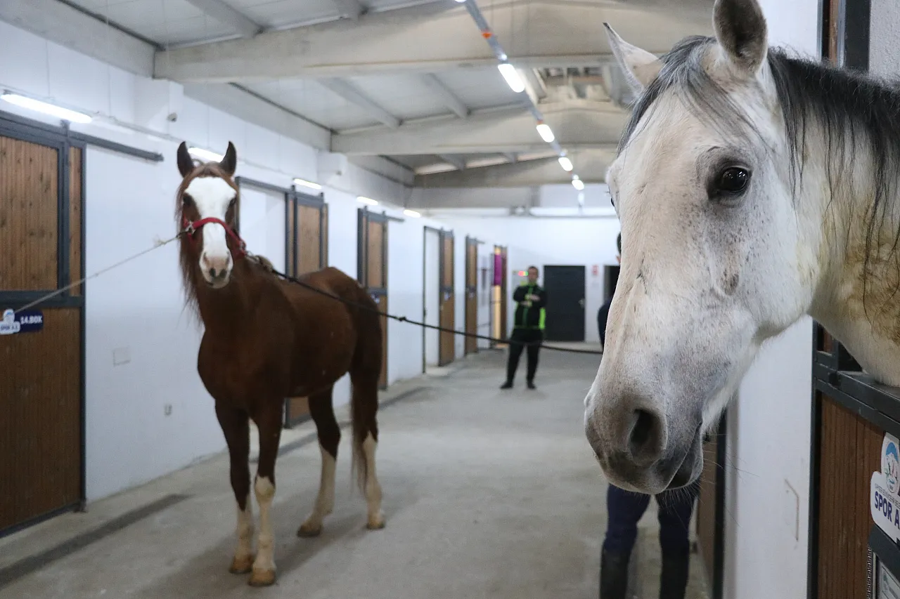İşte Kayseri'de atlara sunulan hizmetler