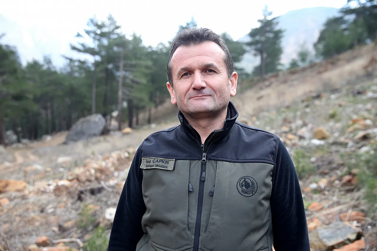 Küllerinden yeniden doğan orman