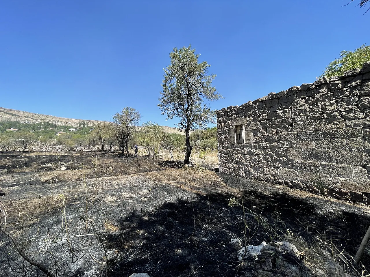 Arazide ot yangını...