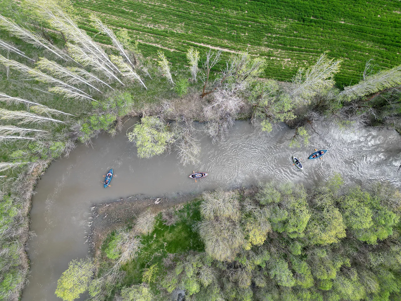 Doğayla iç içe kano keyfi!