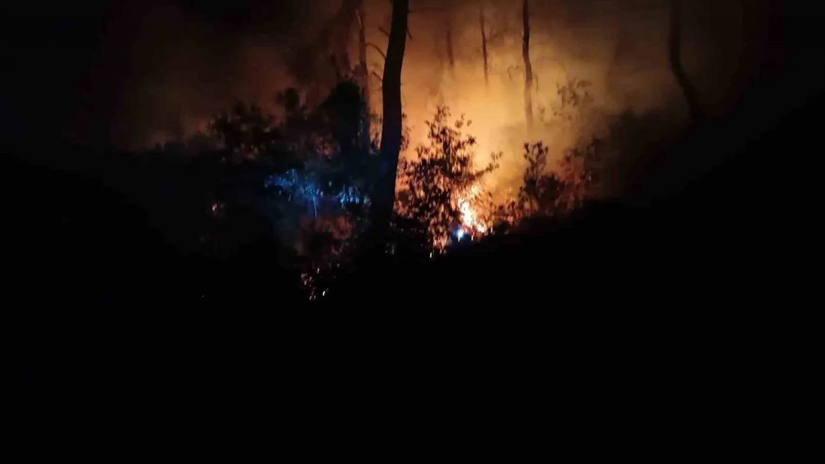 Adana'da aynı bölgede bir haftada ikinci orman yangını