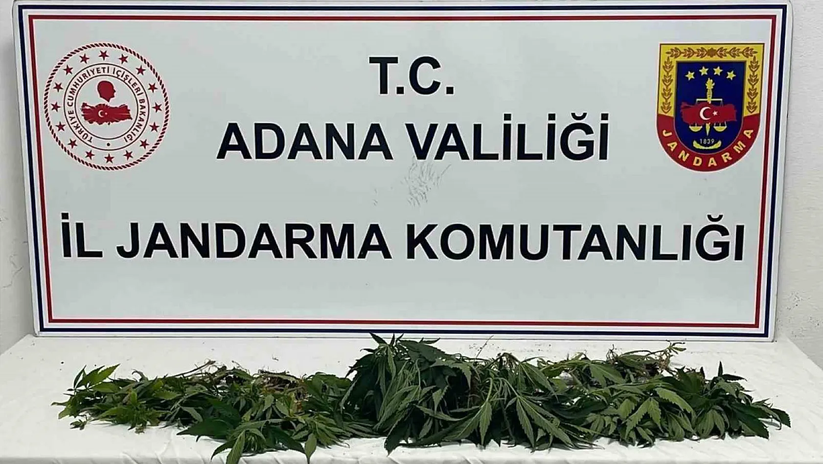 Adana'da jandarmadan 'Huzur ve güven' uygulaması