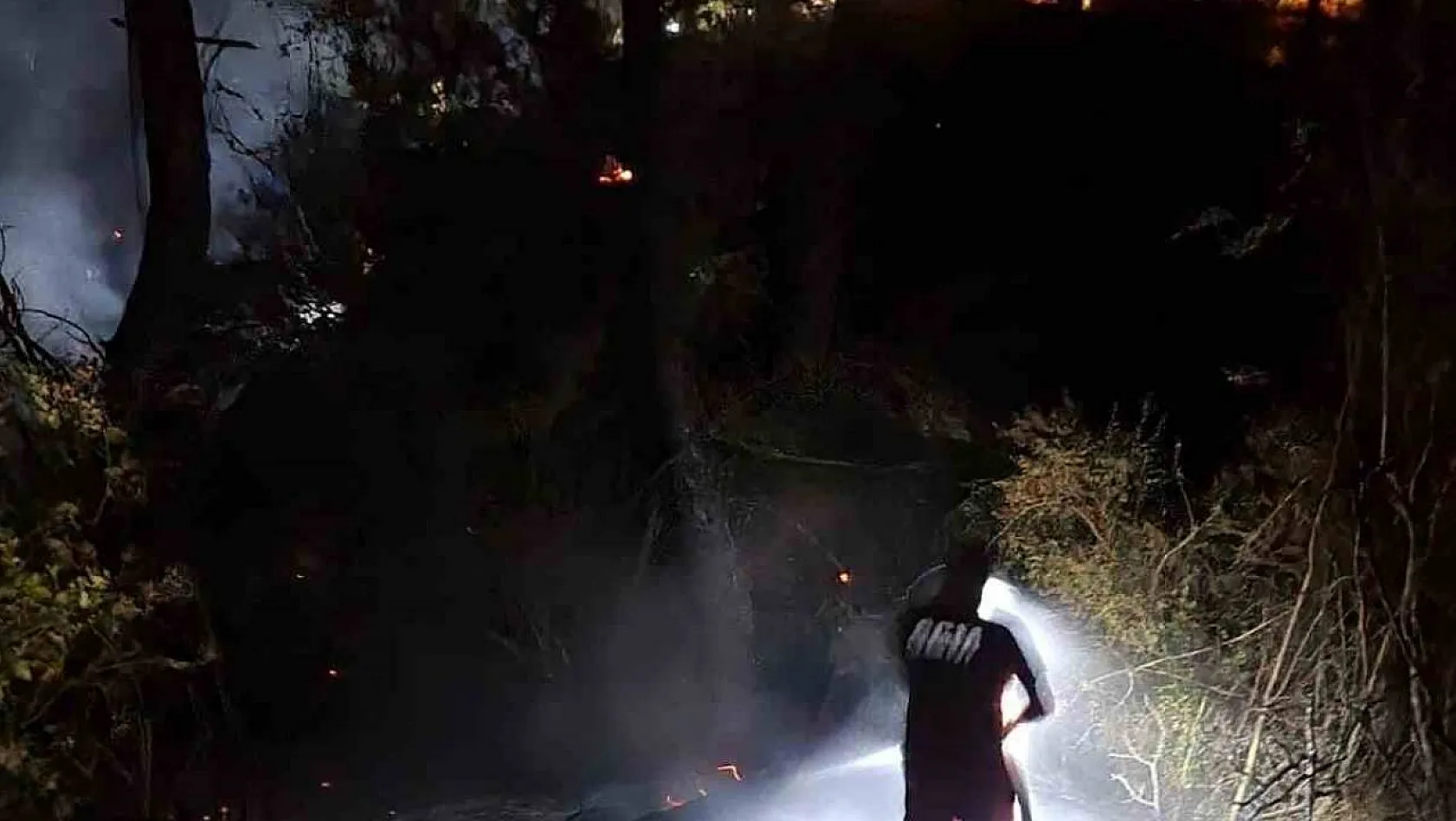 Adana'daki orman yangını büyümeden söndürüldü