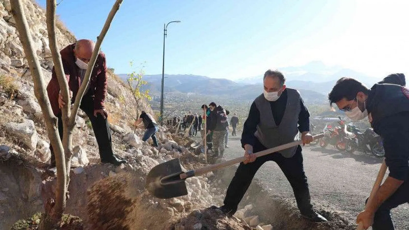Ali Dağı'nda 20 bin ağaç daha toprakla buluştu