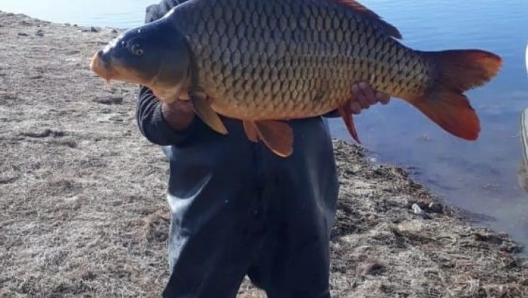 Baraj gölünde 150 santim uzunluğunda balık yakaladılar