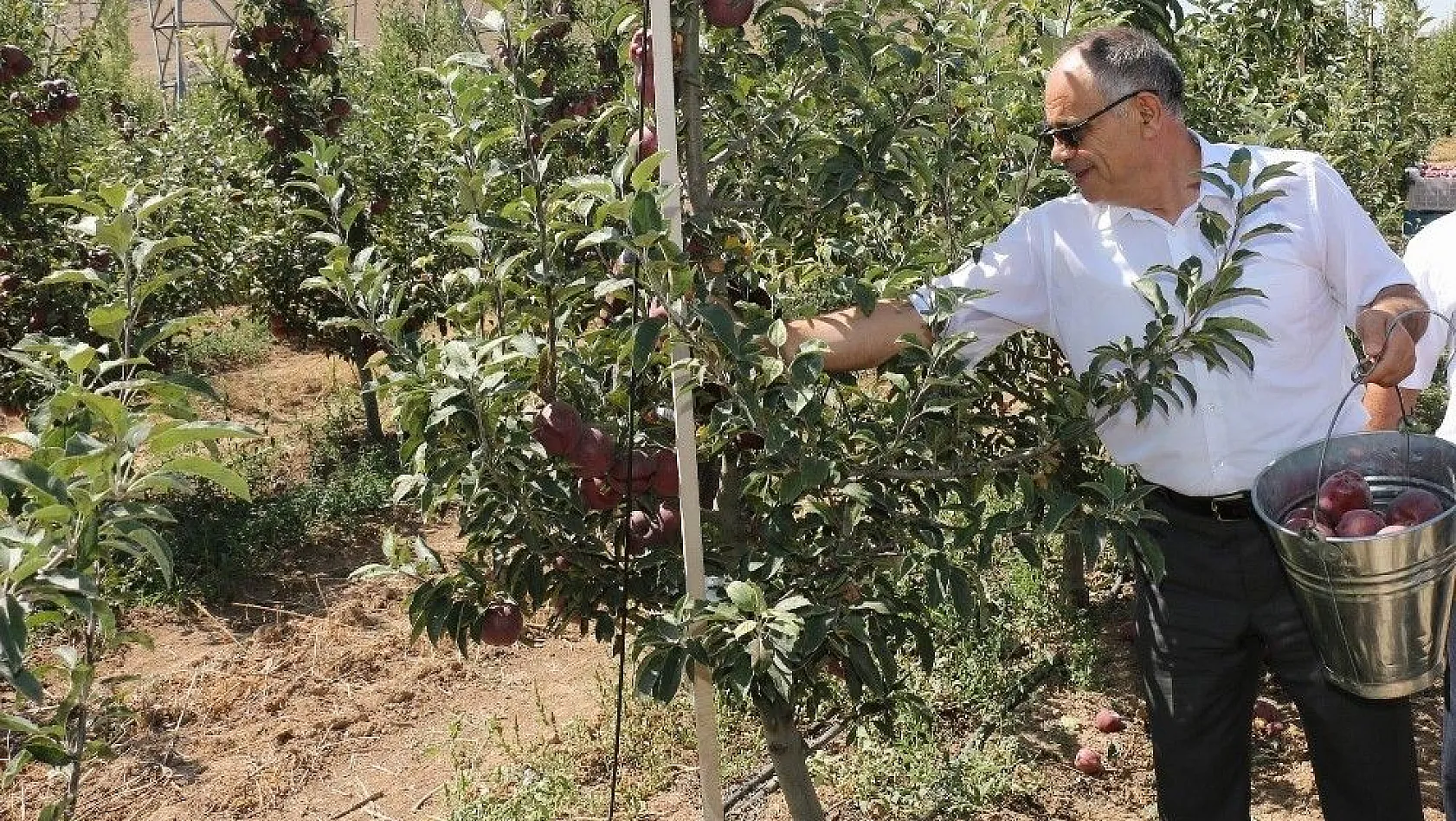Başkan Öztürk: 'Yahyalı'da elma üretimi modernleşmeli'
