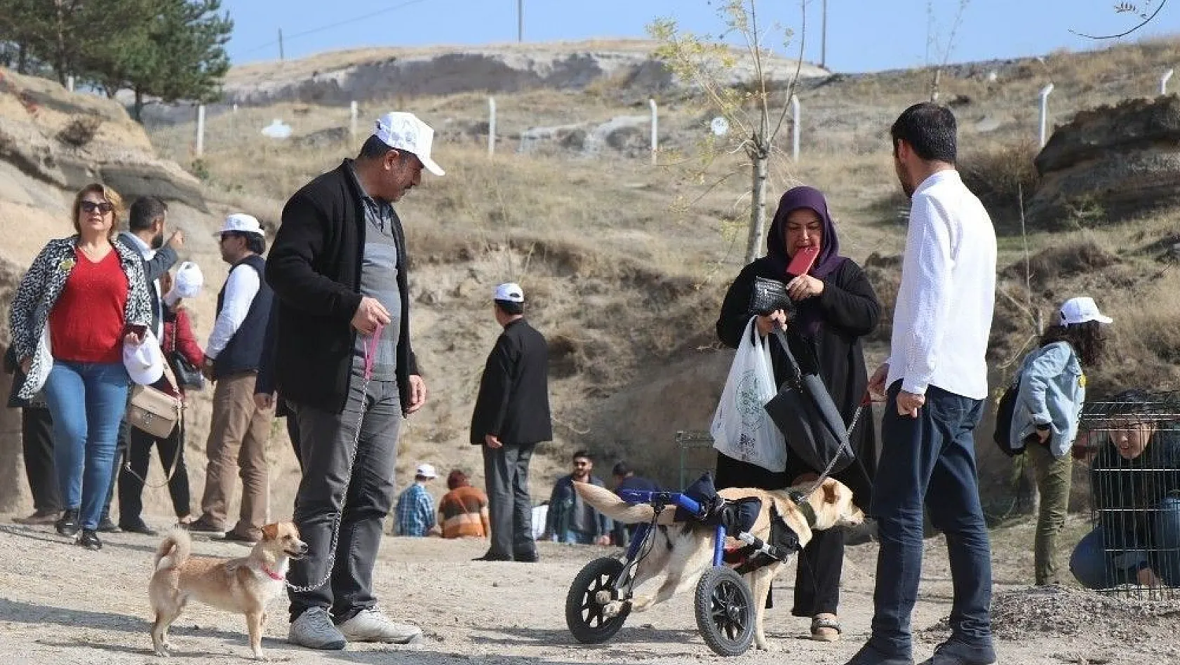 Talas'ta sokak köpeklerine özel köy...