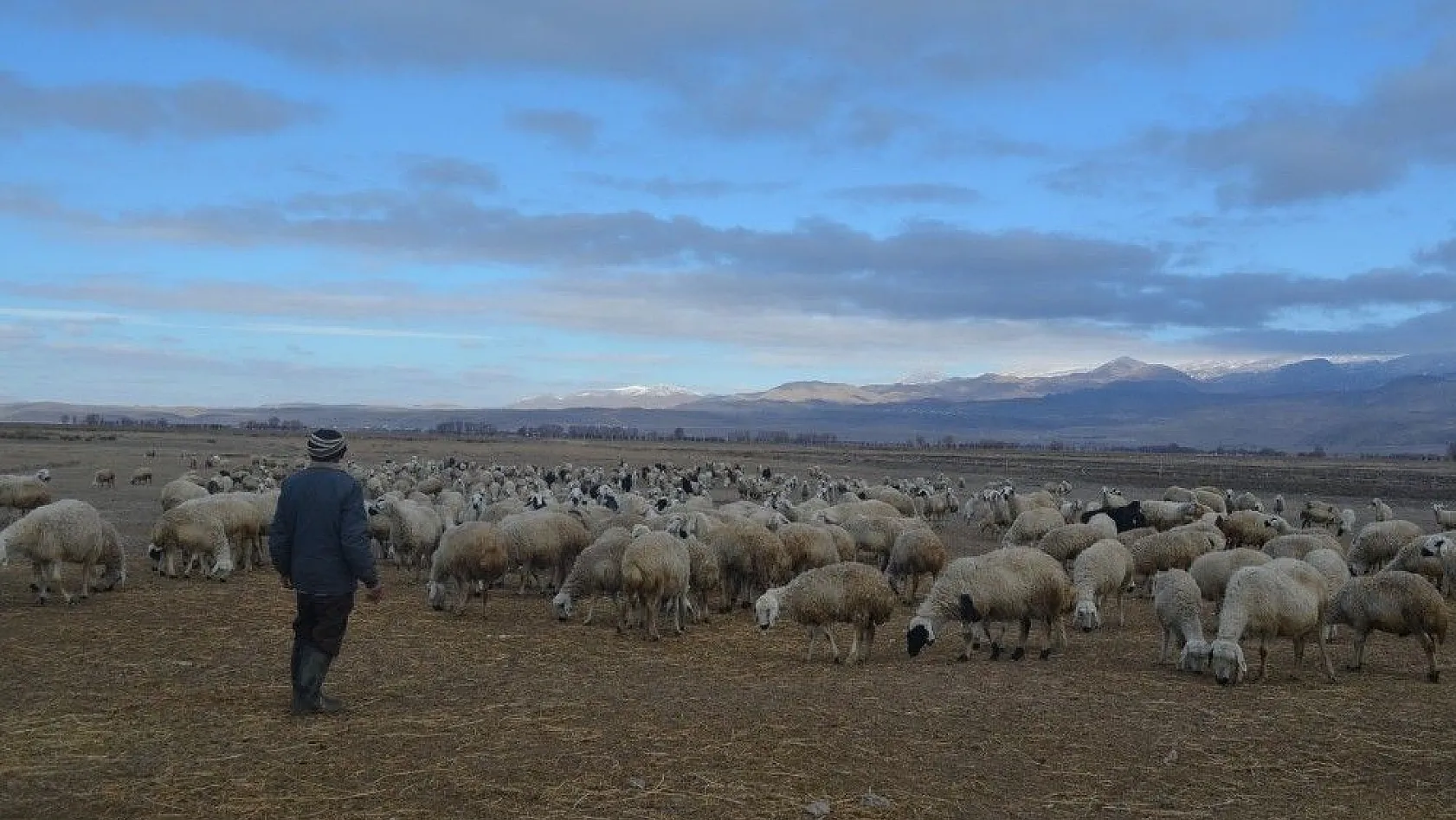 Çobanlar hem kış şartları hem de arazi şartları ile mücadele ediyor