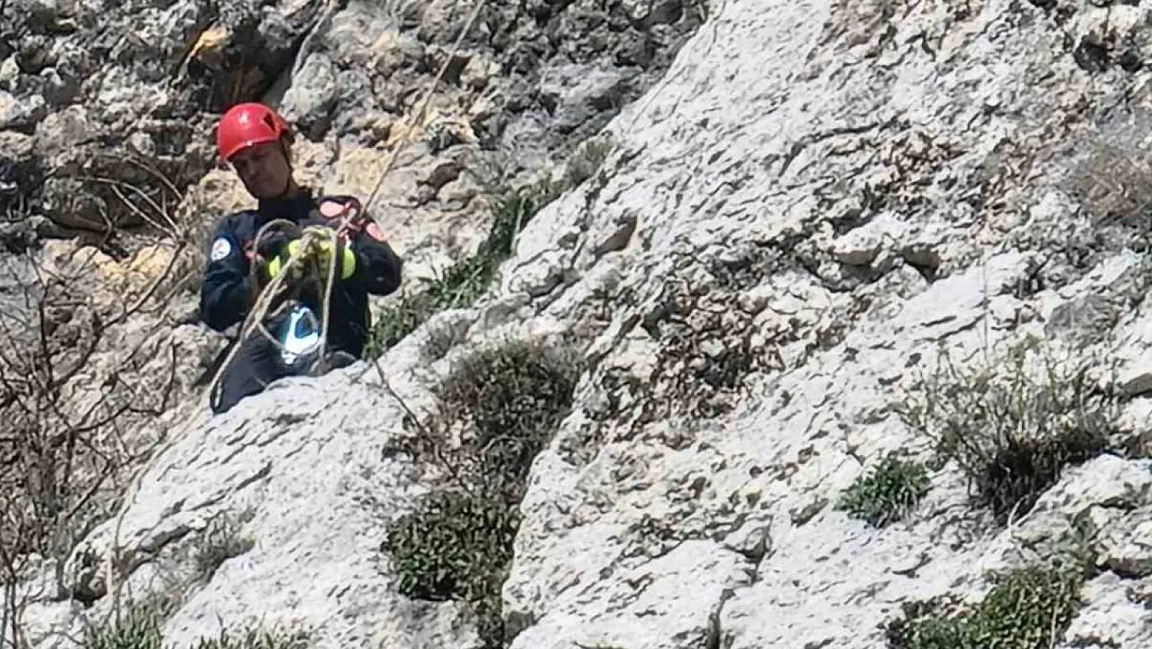 Dağda mahsur kalan keçi itfaiye ve AKOM ekipleri tarafından kurtarıldı