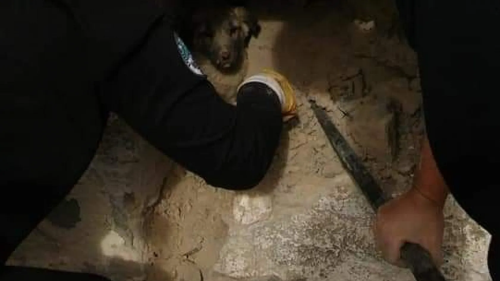 Evin dış duvarına sıkışan köpeği itfaiye ekipleri kurtardı
