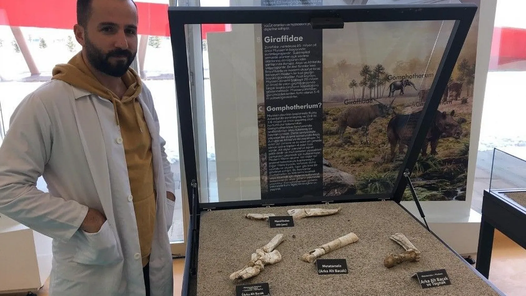 Kayseri'de 7 buçuk milyon yıllık 3 toynaklı at fosilleri bulundu