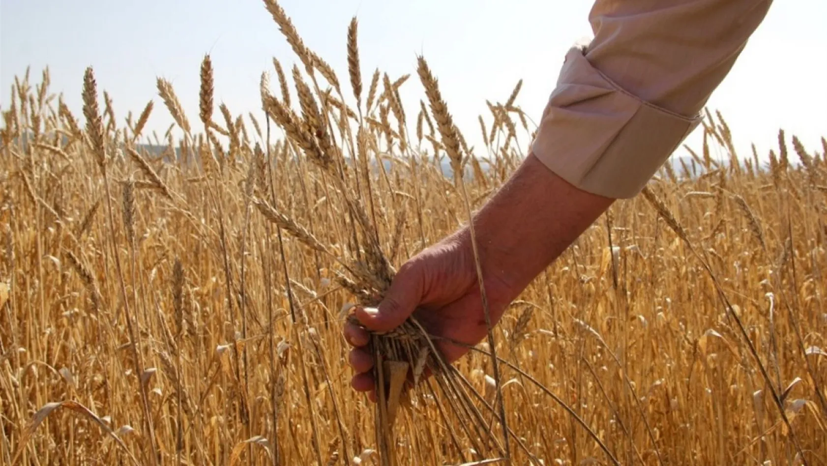 Kayseri'de en çok tarım alanının yok olduğu ilçe belli oldu?
