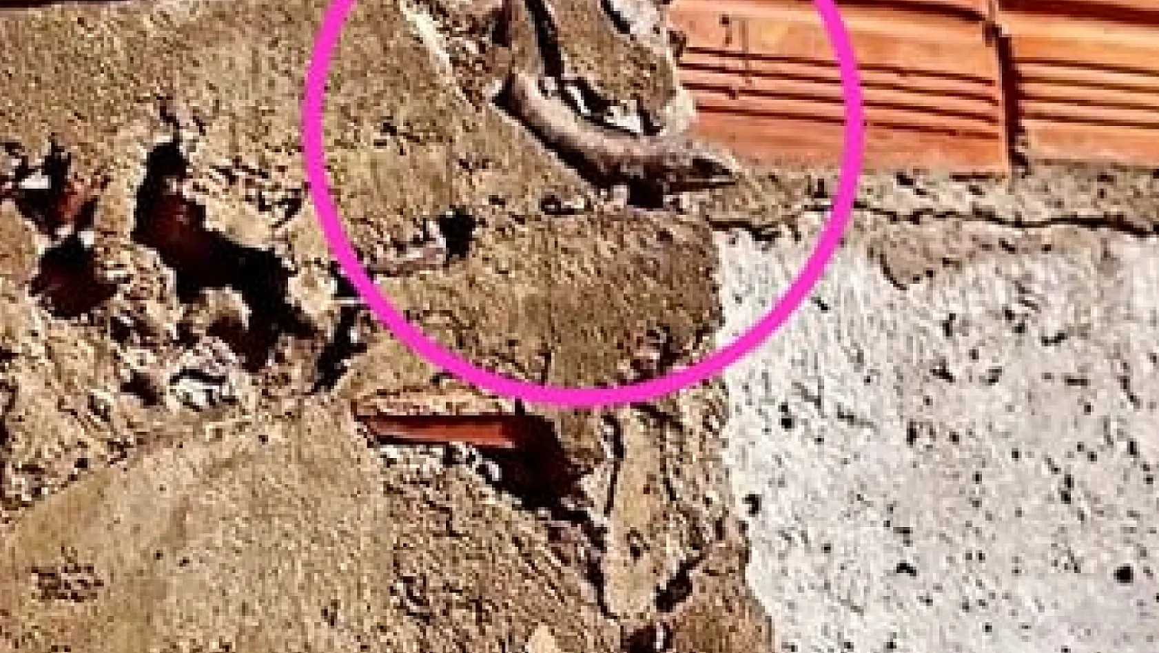 Kayseri'de evin duvar betonundan yılan çıktı! İşte o görüntüler…