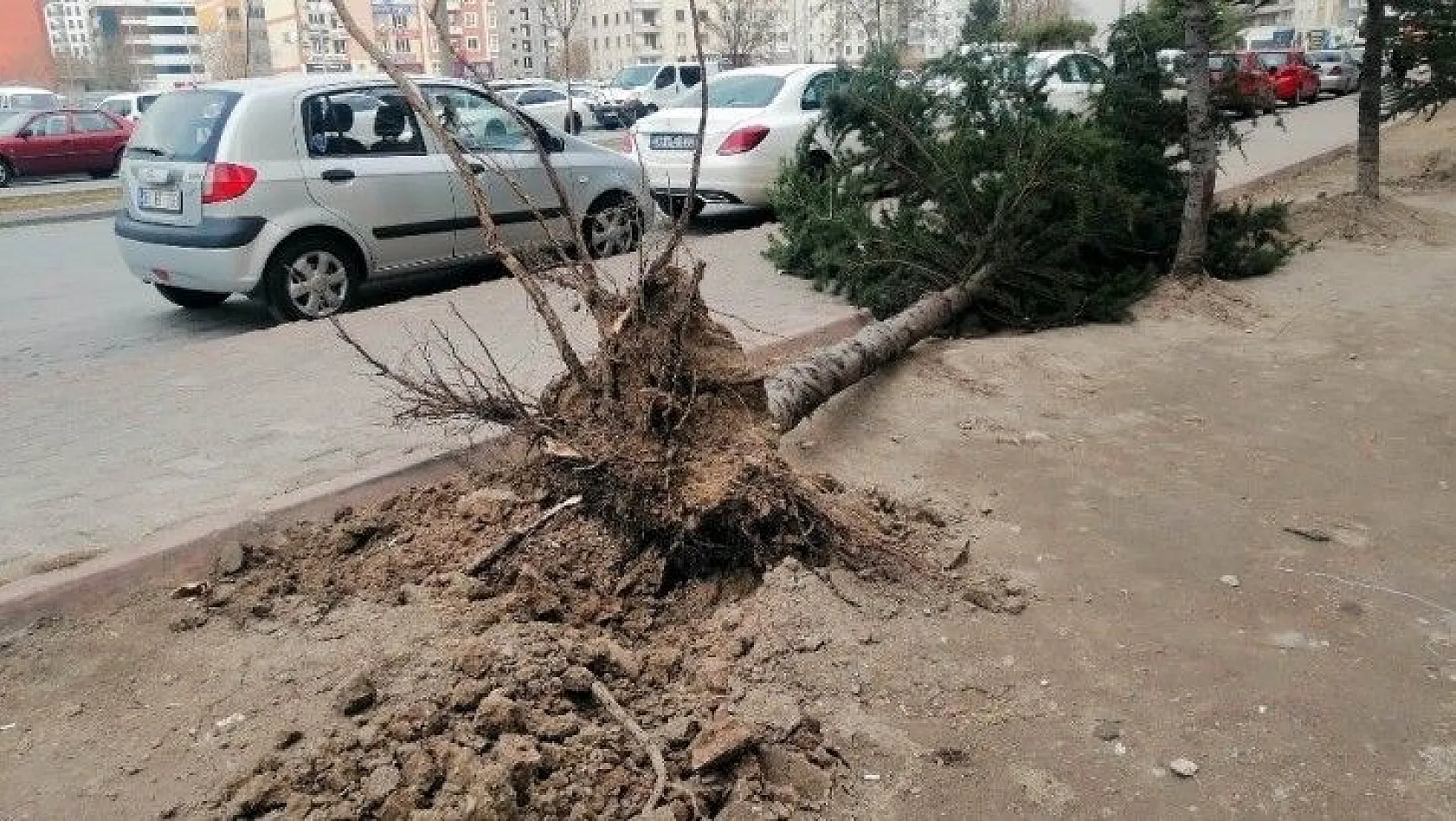 Kayseri'de kuvvetli rüzgar ağaçları söktü, çatıları uçurdu