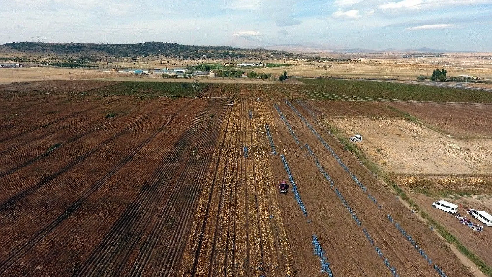 Kayseri'de patates hasadı devam ediyor