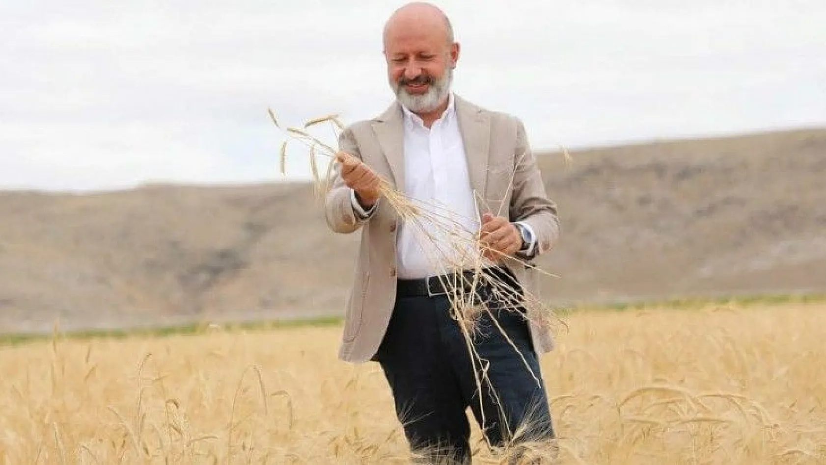 Kocasinan'da 28 kromozomlu Gacer Buğdayı'nın hasadı yapıldı