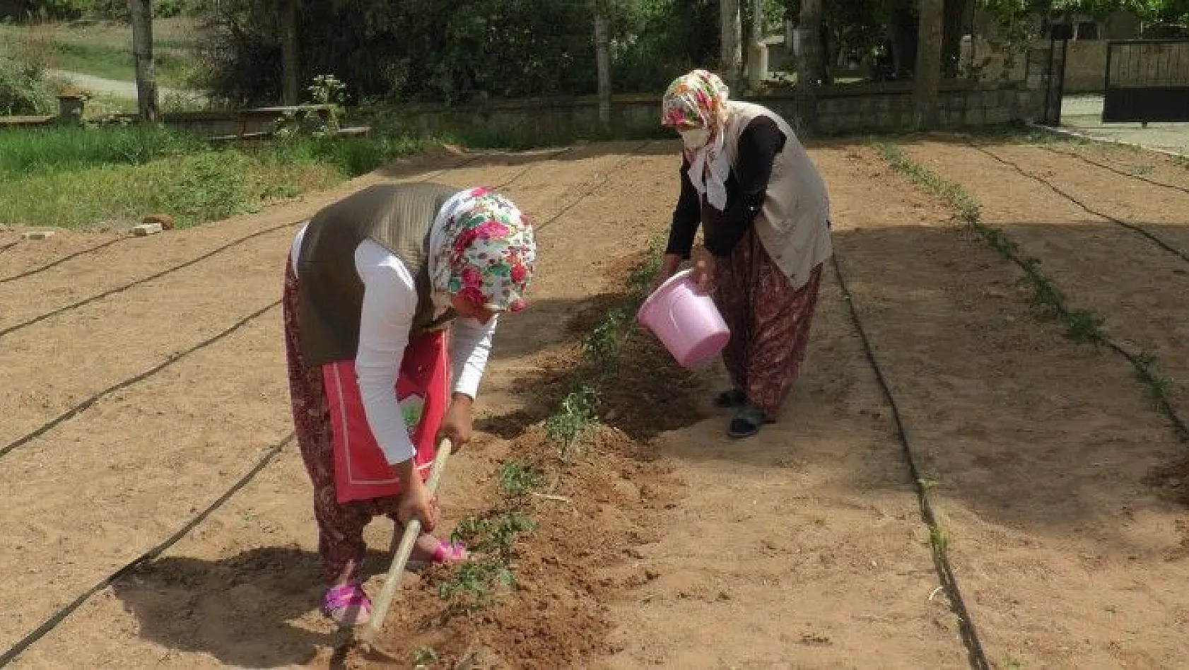Çiftçi kadınlar üretmeye devam ediyor