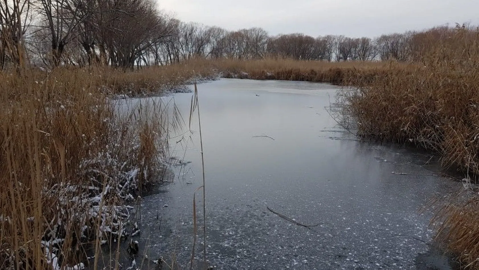 Sultan Sazlığı'ndaki göl soğuk havada buz tuttu
